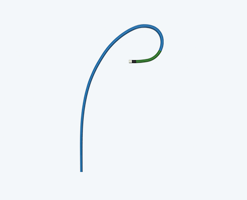 Guiding Catheter
