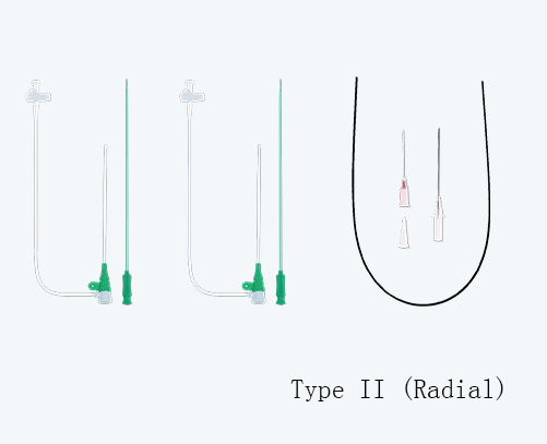 Introducer set